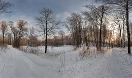 Winter / ***