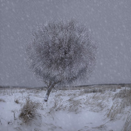 Strom / ***