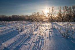 Frost und Sonne! / ...