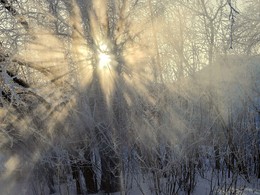 Frost und Sonne - einen wundervollen Tag! / ***