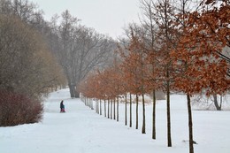 Winter / ***