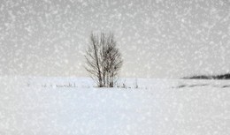 Die Schneewehe / ***