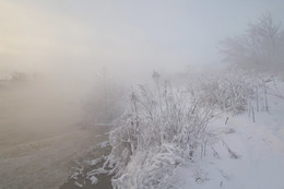Misty Januar / ***