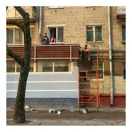 Der Frühling kommt / ***