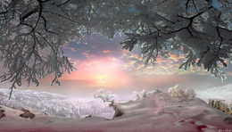 Sonnenuntergang im Winter / ***