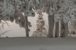  / ***