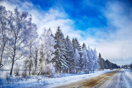 Winter / ***