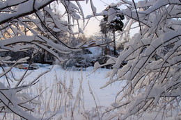 Frosty Day / ***