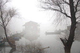 Nebel auf dem Fluss / ***