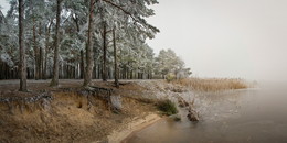 Frozen forest / ***