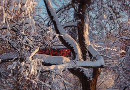 -13 C / ***