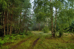 Nach dem regen / ***