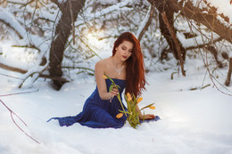 Winter flowers / ...