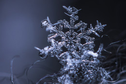  / ❄"""