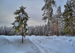Sonnenuntergang im Winter / ***