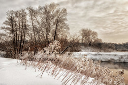 Februar / ***