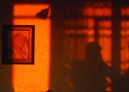 Orange sunset / ***