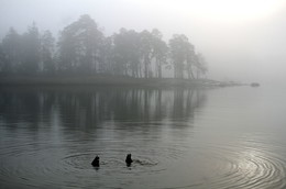 In der Stille ... / ***