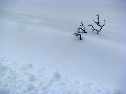 Weiß / ***