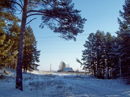 Am Rande des Waldes / ***