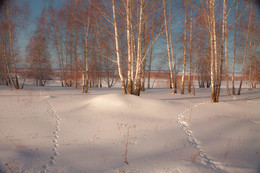 Footprints / ***
