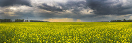 Russische Feld / ***