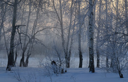 Winterschlaf / ***