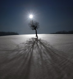 Shadow / ***
