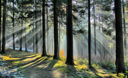 Zauberwald / ***