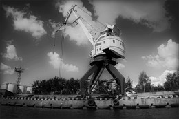 Der Hafen / ***