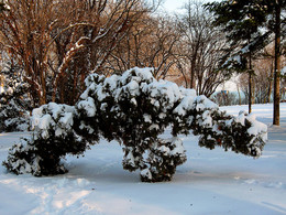 In Winter Park / ***