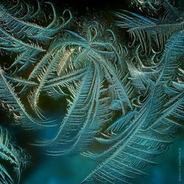 Octopus's Garden. 2018 / music: The Beatles - Octopus's Garden
https://www.youtube.com/watch?v=kWC-Z4YkNsI