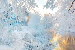 Rime / ***