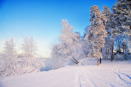 Frosty Day / ***