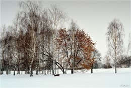 verschneite / ***