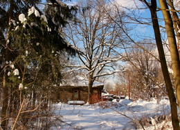 Winterbild / ***