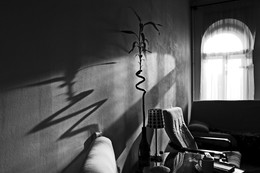 Abendsonne / ***