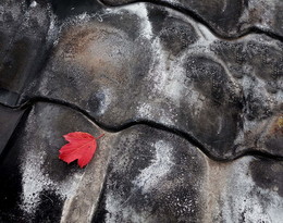 Last Leaf / ***
