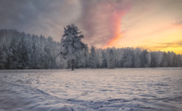 Wintermorgen. / ***