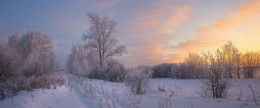 Sonnenuntergang im Winter / ***