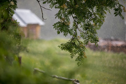 Schlechtes Wetter / ***