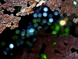 Rust / ***