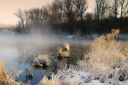 Vom Wasser / ***
