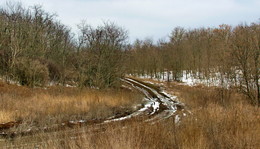 März / ***