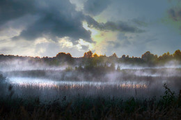 Nebel / tuman