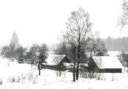 Frühling Winter / ***