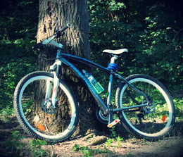 bicycle / bicycle