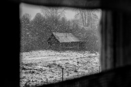 Im Fenster / ***