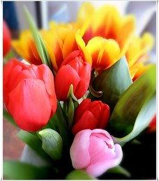  / Spring...