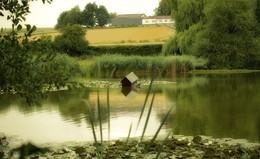 Sommerstimmung / ***